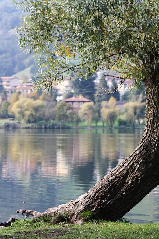 Monasterolo del Castello B&B Notte E Di المظهر الخارجي الصورة